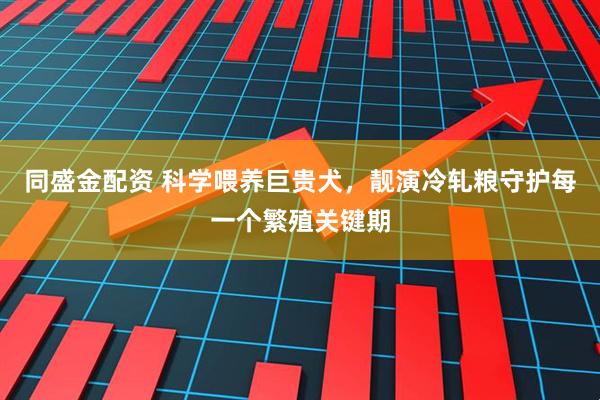 同盛金配资 科学喂养巨贵犬，靓演冷轧粮守护每一个繁殖关键期