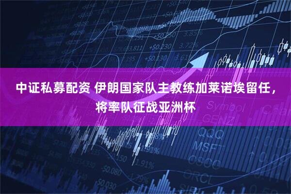 中证私募配资 伊朗国家队主教练加莱诺埃留任，将率队征战亚洲杯